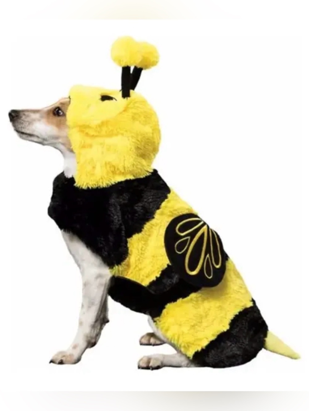 ADORABLE 🐝 BUMBLE BEE 🐝 DOG COSTUME SIZE EXTRA LARGE 🌟EUC🌟